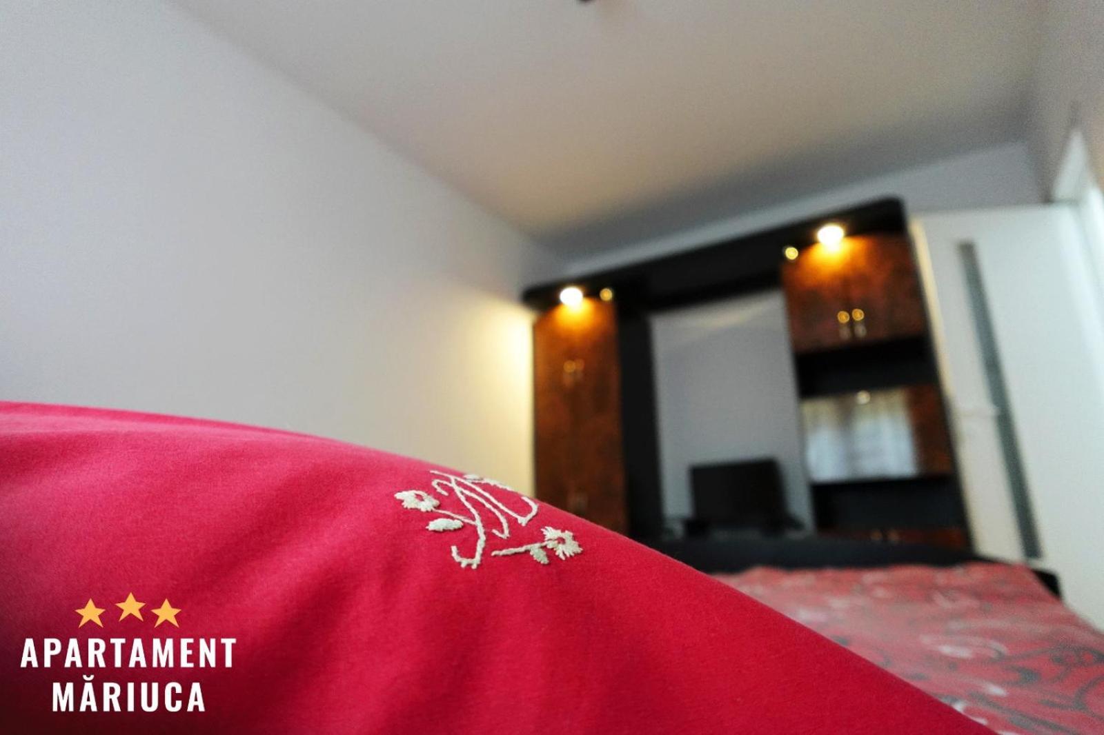 בוסטאני Mariuca Apartament מראה חיצוני תמונה